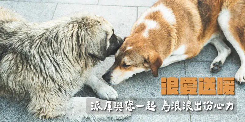 派庫廚房世界地球日浪愛送暖活動主視覺