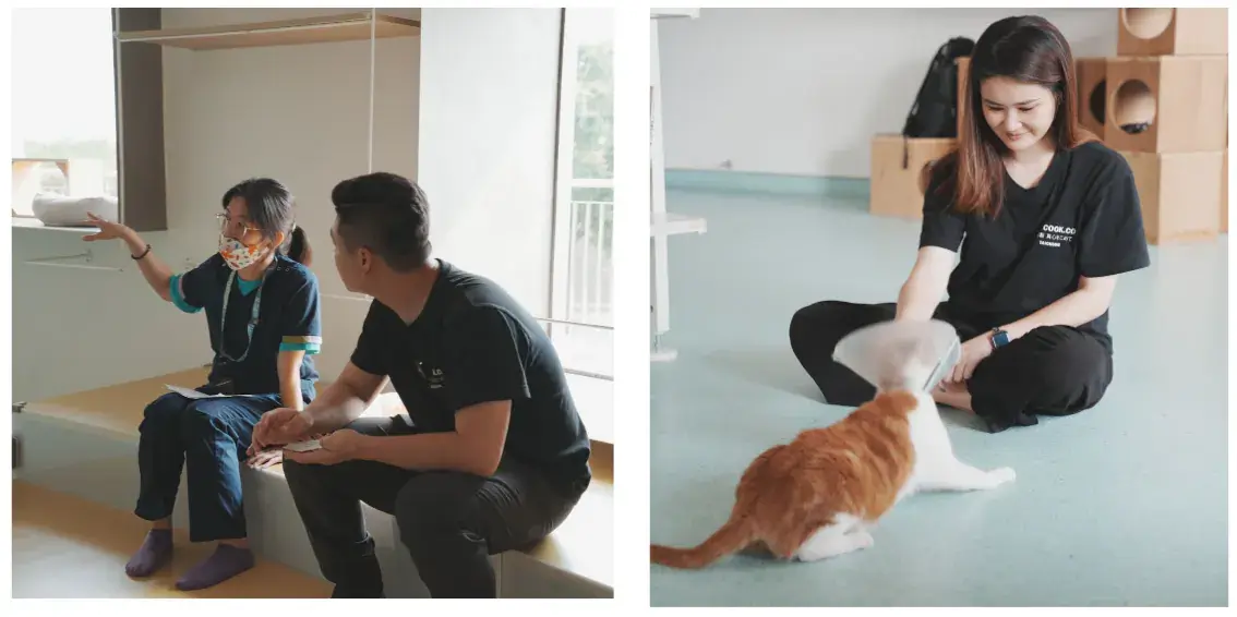 派庫廚房走訪臺中市動物之家后里園區