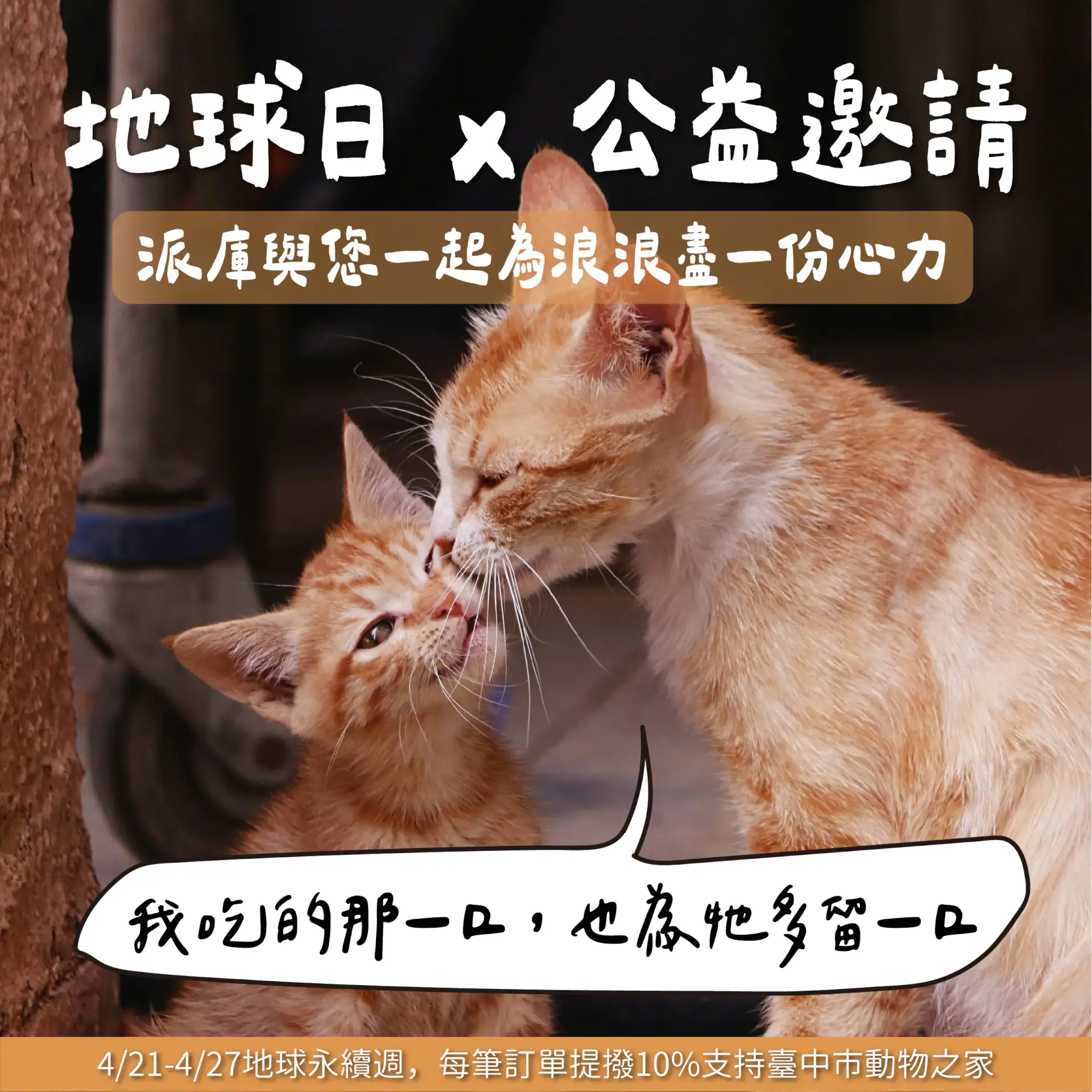 派庫廚房世界地球日浪愛送暖活動詳情