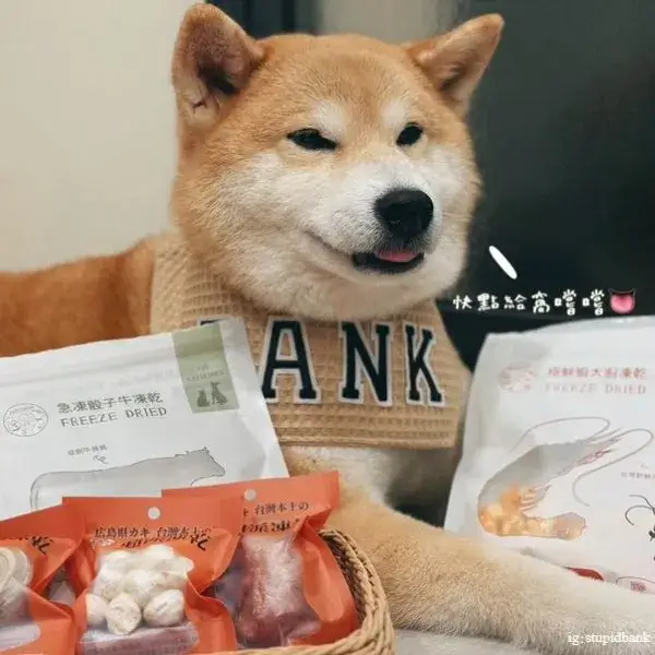 派庫狗狗凍乾多種口味照片