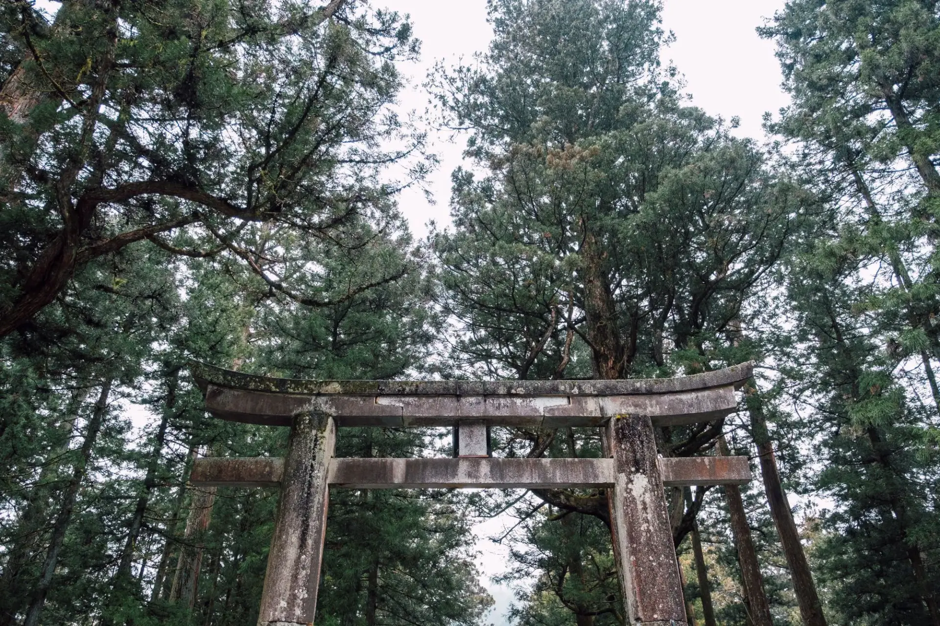 日本中央高地山區風景柴犬的發源故鄉