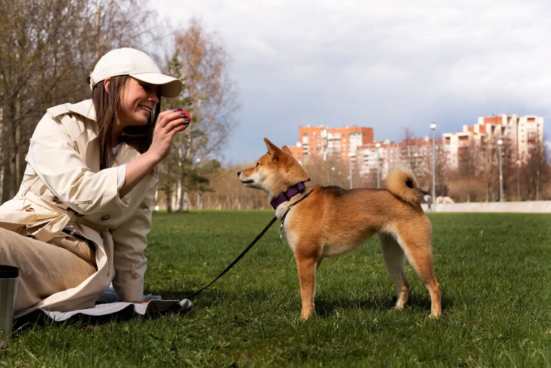 柴犬與飼主溫馨合照養柴犬是超過十年的長期陪伴