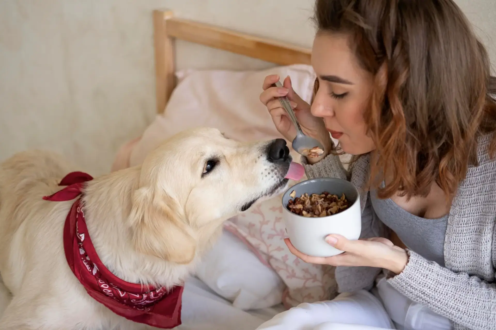 狗狗準備吃飯的照片