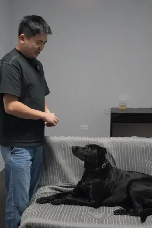 拿走凍乾讓狗狗與飼主眼神對視