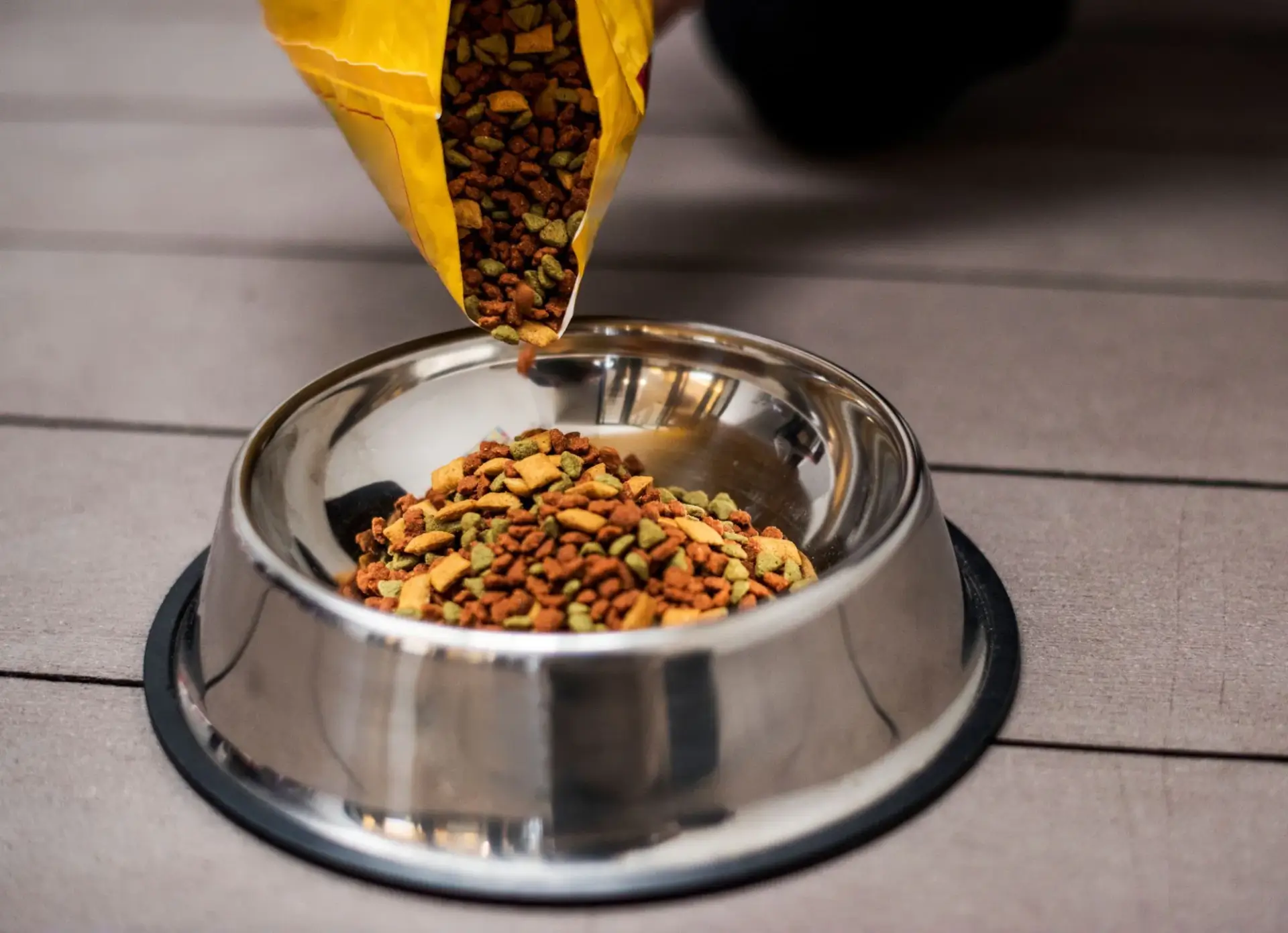 狗狗換飼料觀察照片
