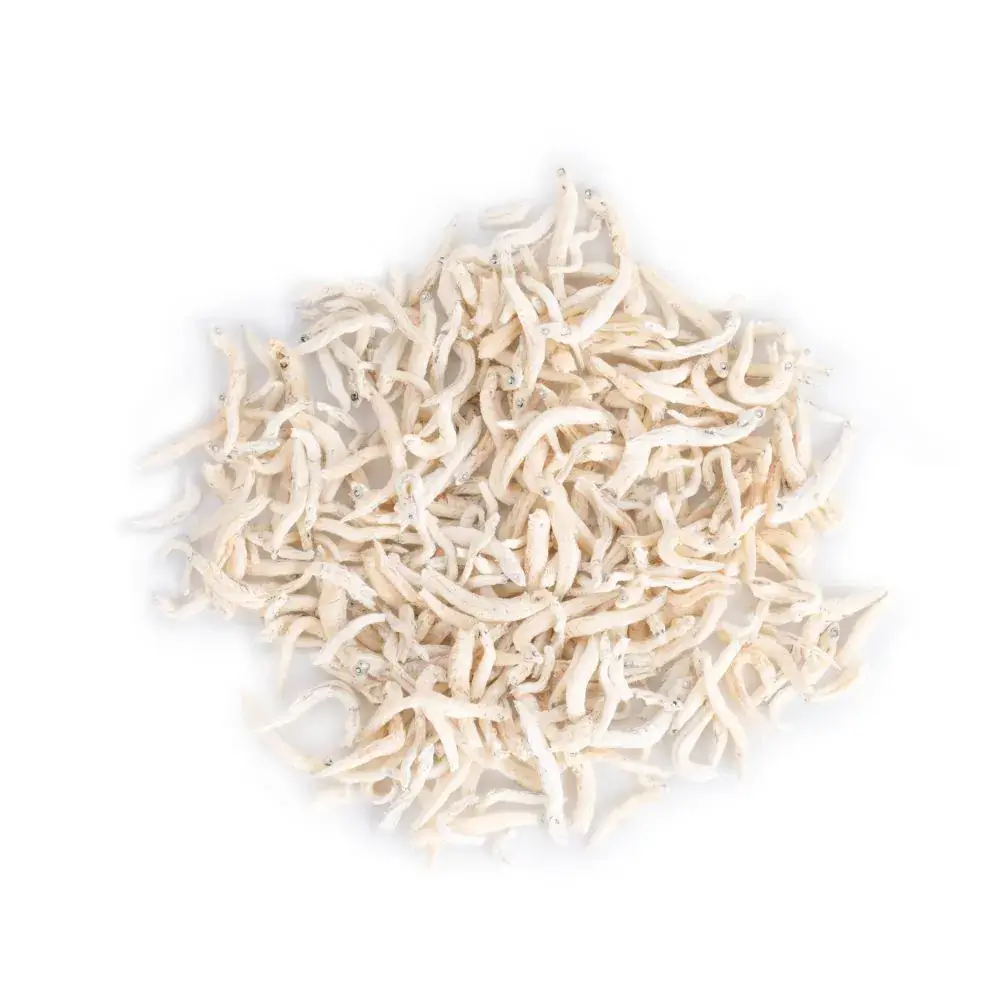 吻嘴吻仔魚凍乾天然無添加寵物零食