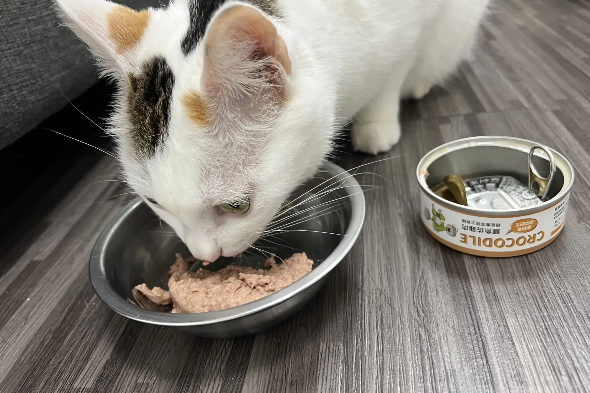 貓咪吃派庫機能主食罐的照片